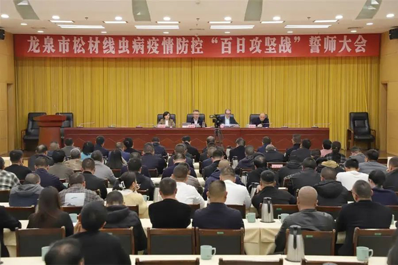 浙江慧創工貿有限公司,竹木(mù)膠合模闆,膠合闆,房(fáng)屋,橋梁,隧道(dào),火(huǒ)車(chē)集裝箱底闆,官方網站(zhàn)