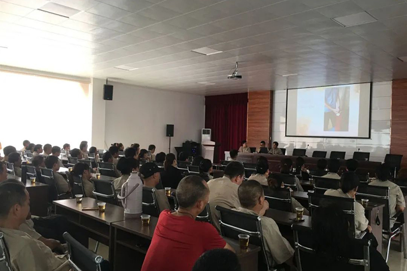 浙江慧創工貿有限公司,竹木(mù)膠合模闆,膠合闆,房(fáng)屋,橋梁,隧道(dào),火(huǒ)車(chē)集裝箱底闆,官方網站(zhàn)