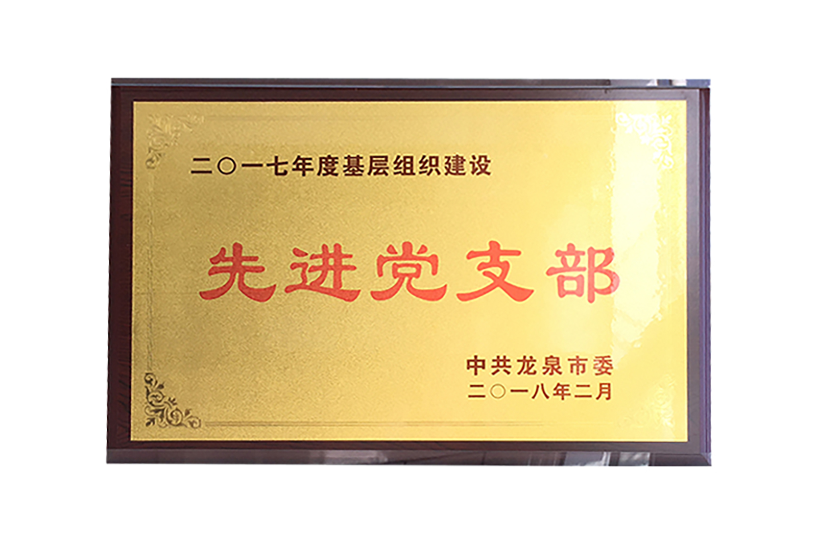 龍泉市(shì)先進黨支部