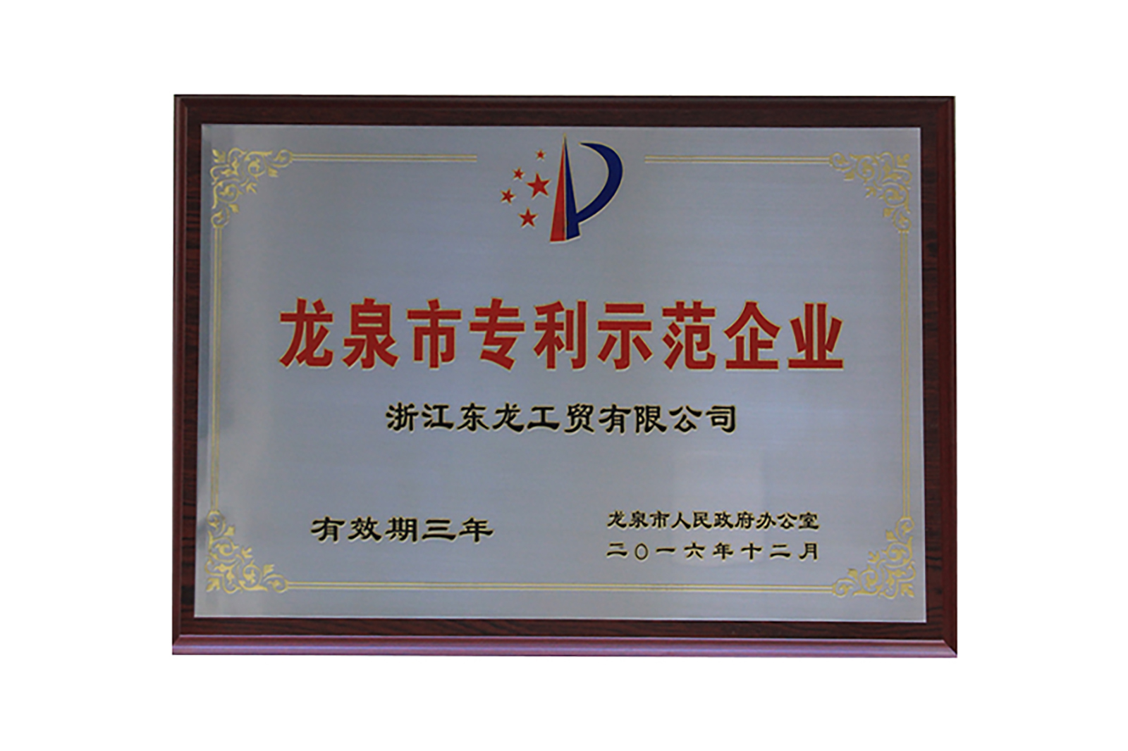 龍泉市(shì)專利示範企業(yè)