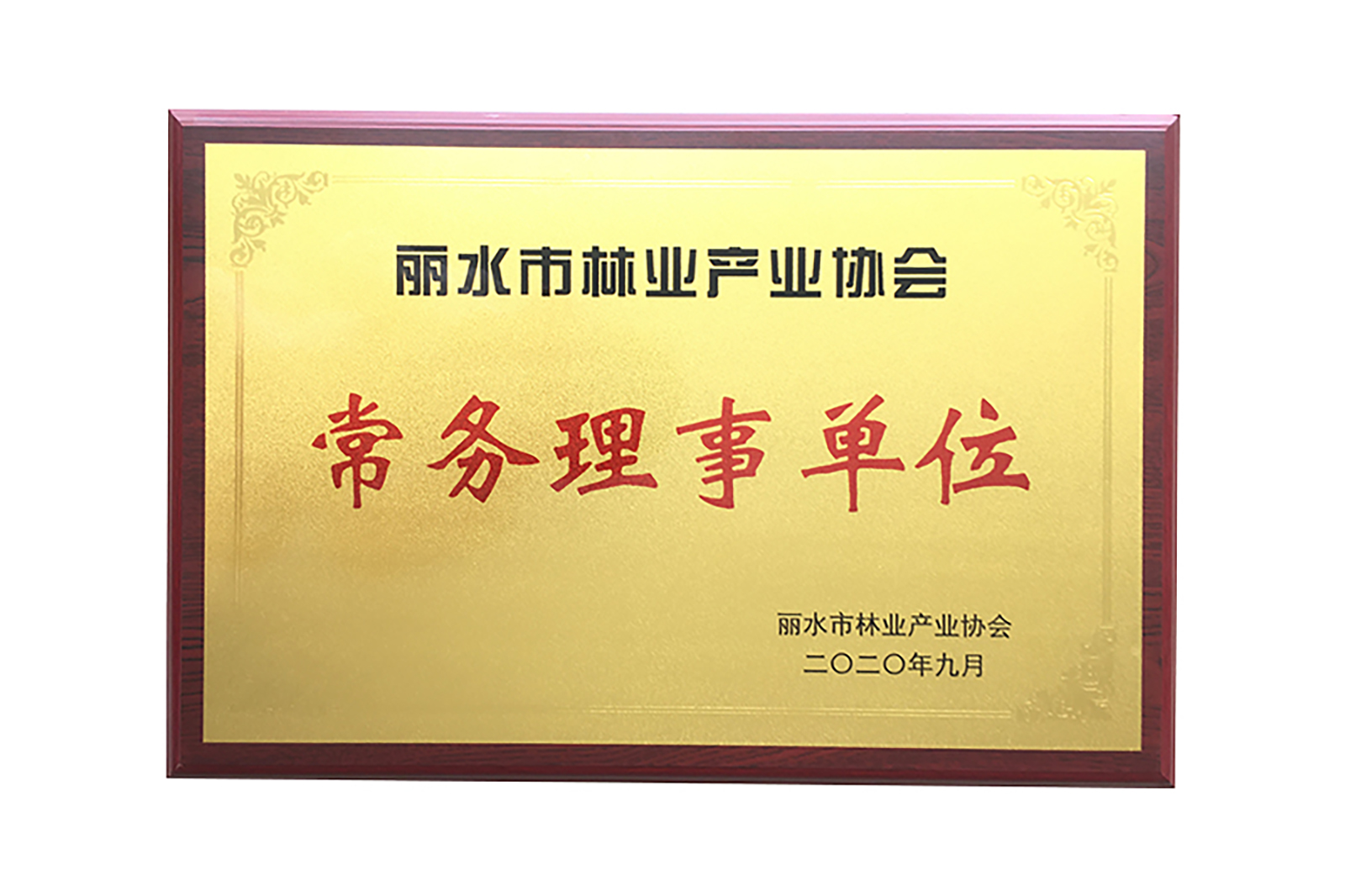 麗(lì)水(shuǐ)市(shì)林(lín)業(yè)産業(yè)協會(huì)常務理(lǐ)事(shì)單位