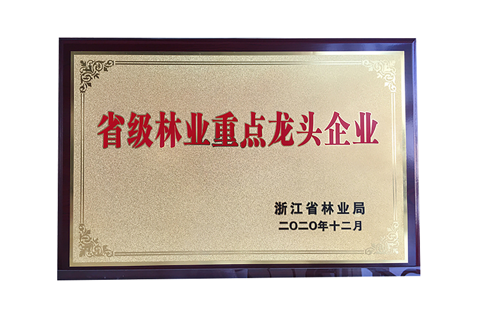 省級林(lín)業(yè)重點龍頭企業(yè)